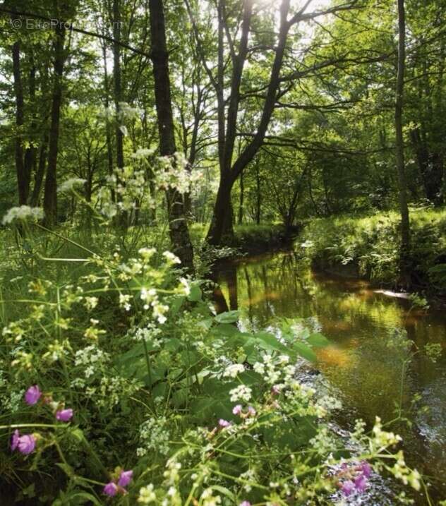 Neo essentiel à Orvault