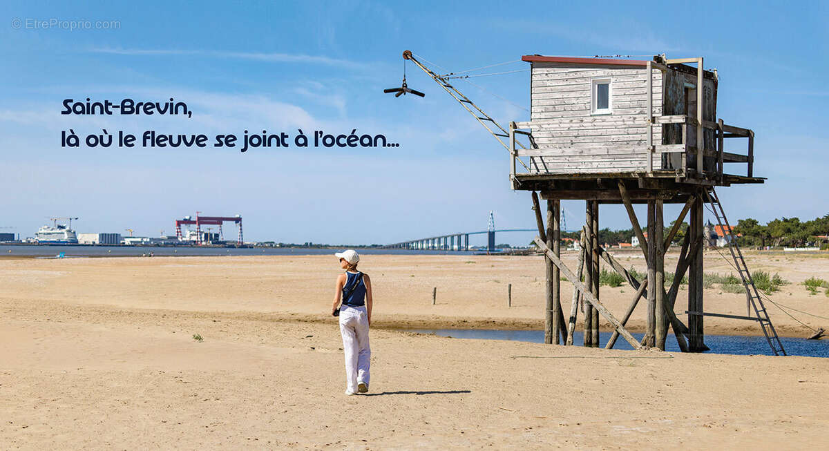 Albatros à St Brevin Les Pins