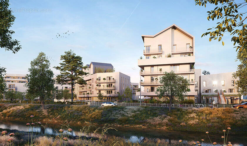 L&#039;embellie à Meaux