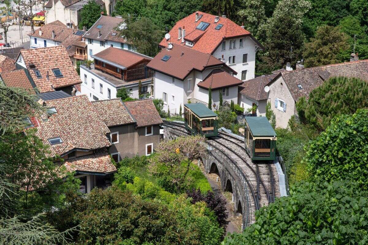 Le parc des cedres à Thonon Les Bains