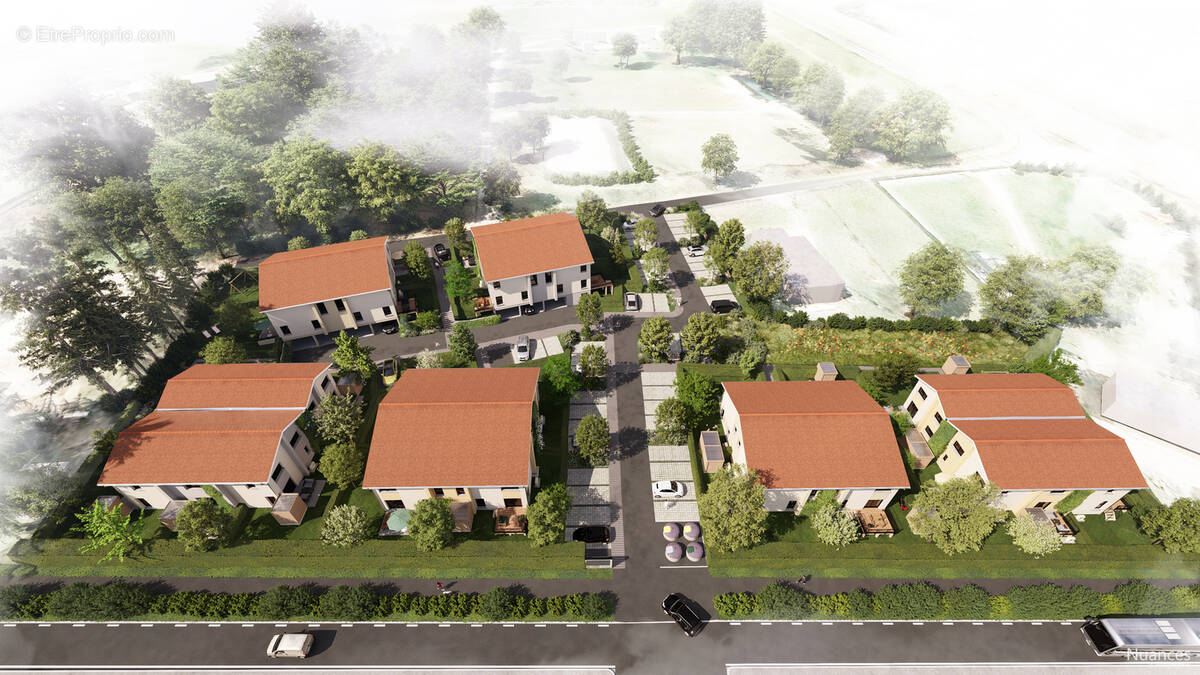 Les carrés des cèdres à Lentilly