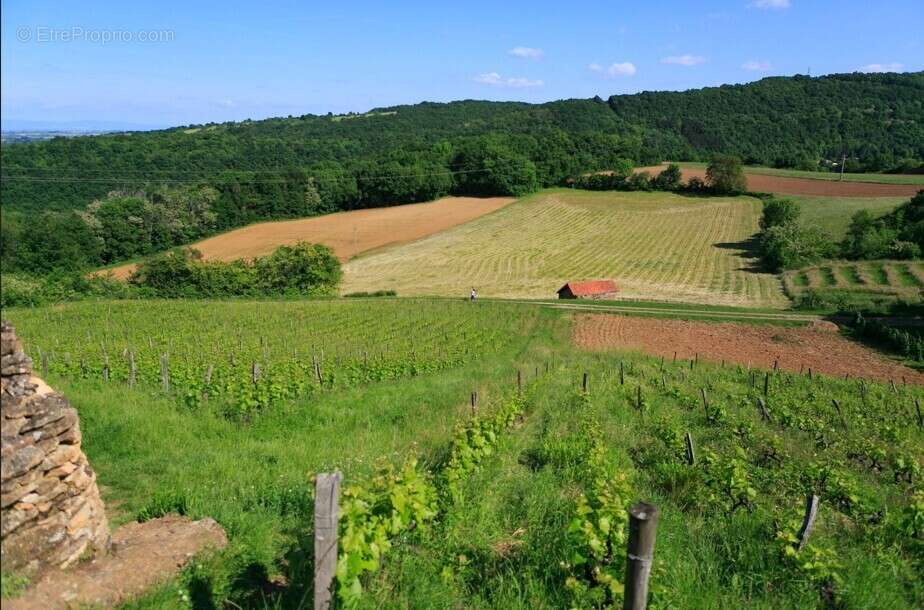 Les jardins du moulin à St Romain Au Mont D Or