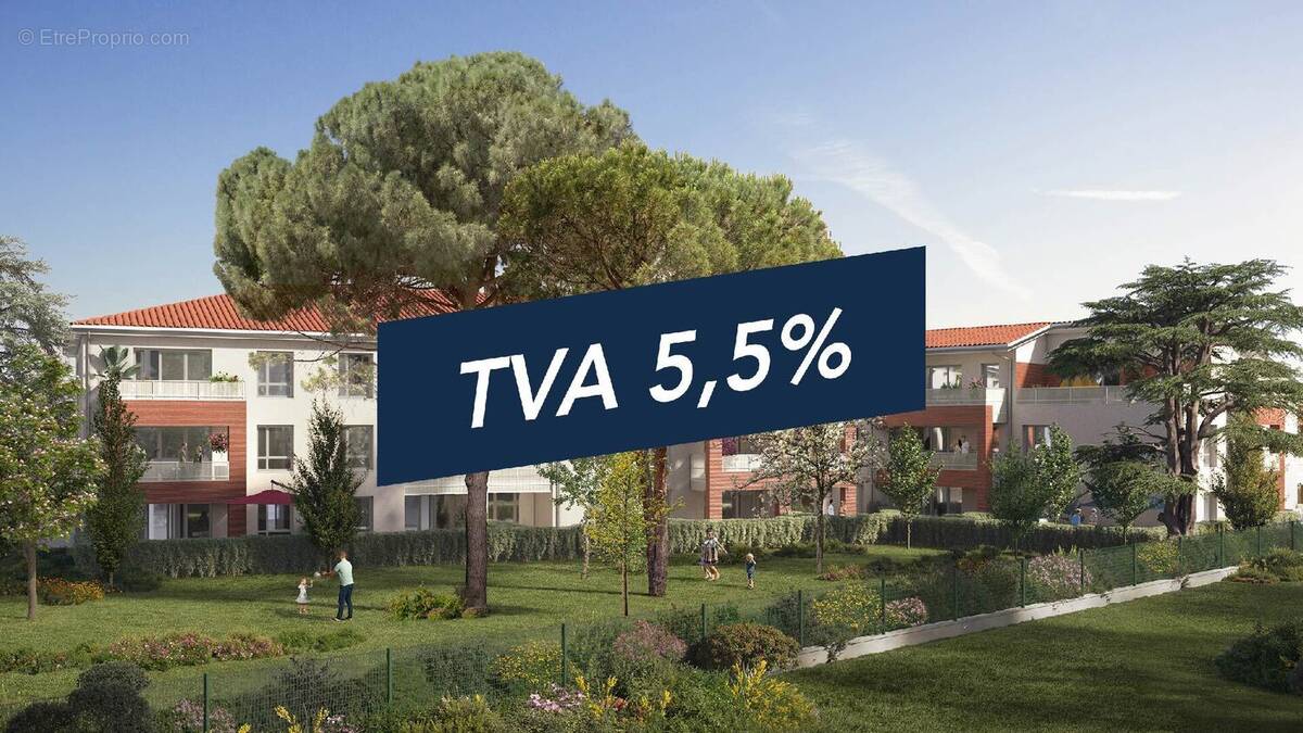 Le sycomore à Toulouse