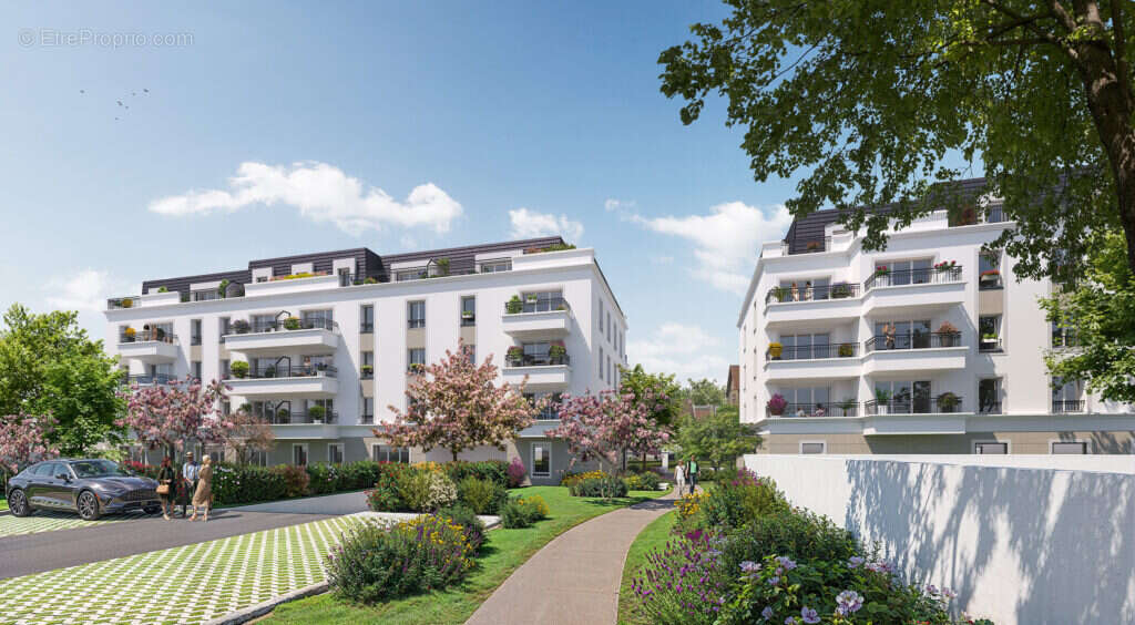 Les marquises à Goussainville