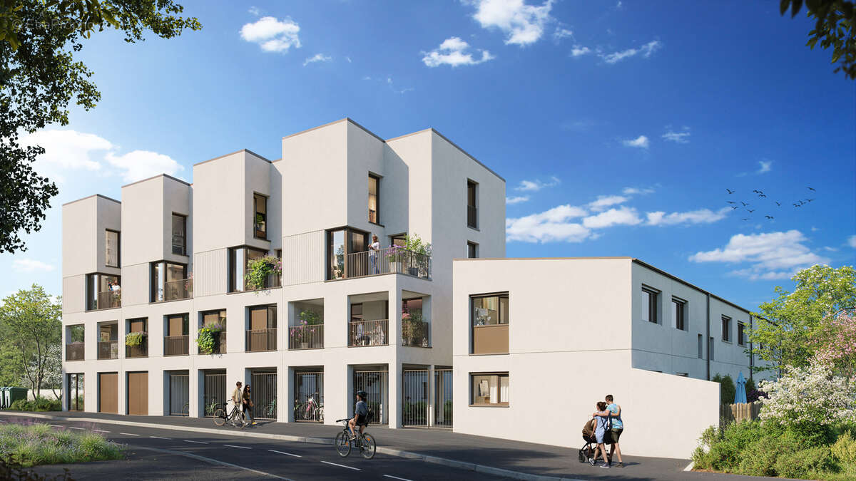 Hedera à Merignac