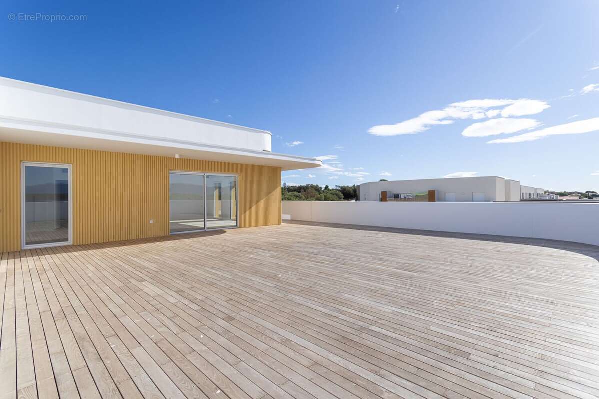 Vibrato à Canet En Roussillon