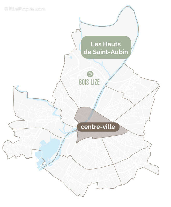 Bois lizé à Angers