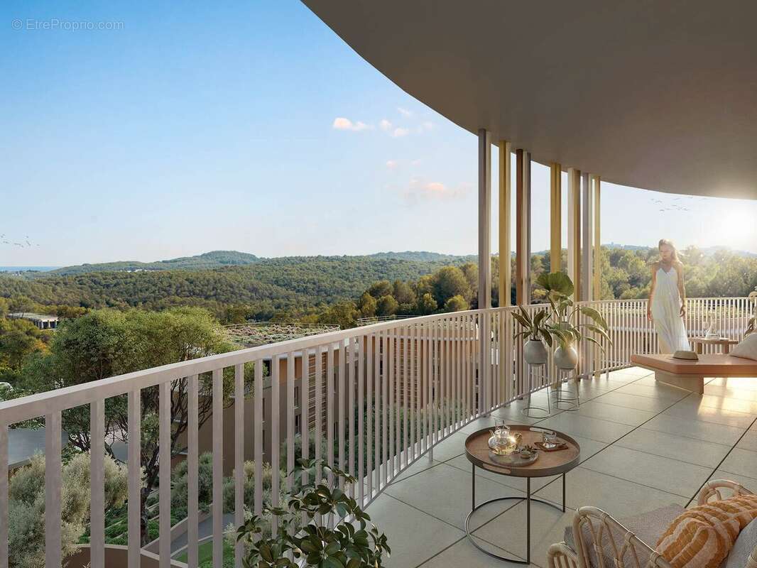 La canopée à Valbonne