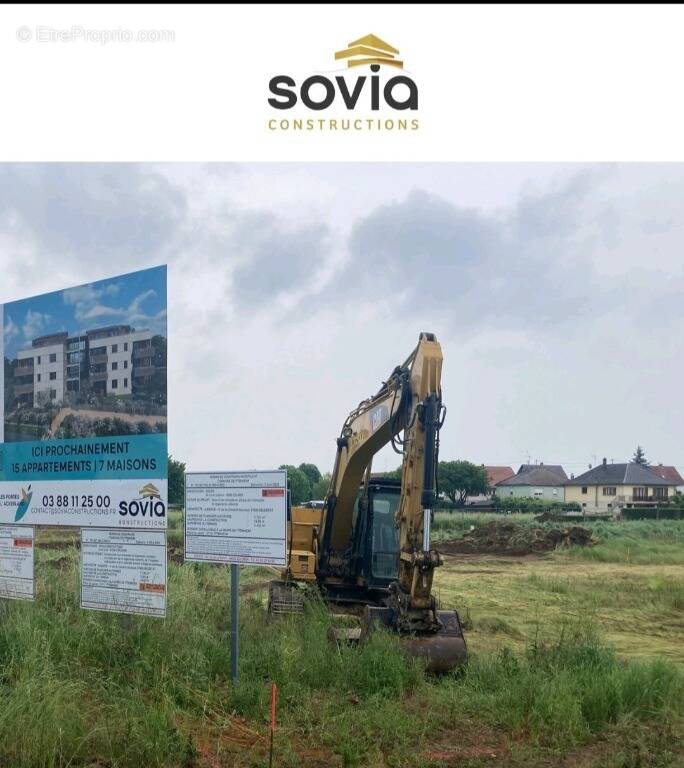 Le strissel à Ittenheim