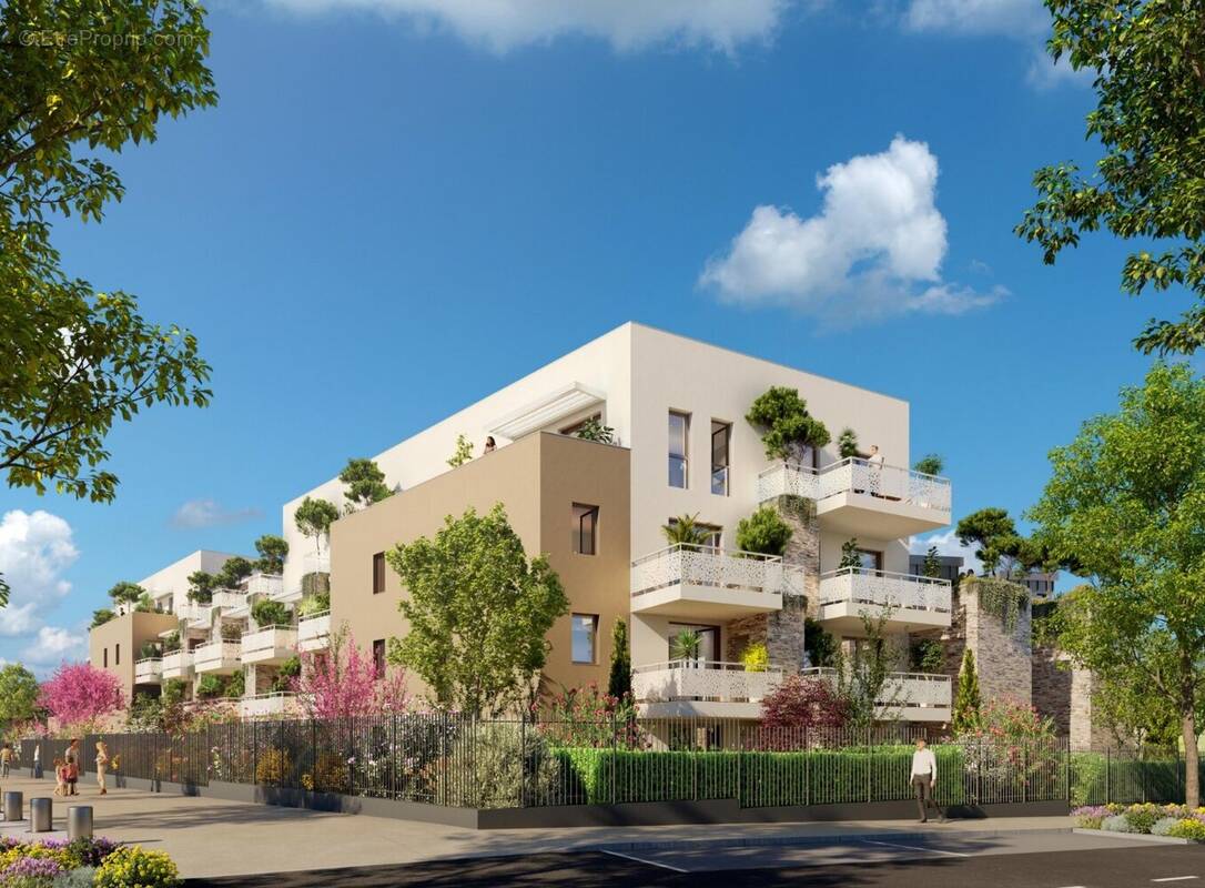 Nouveaute  brs a montpellier à Montpellier