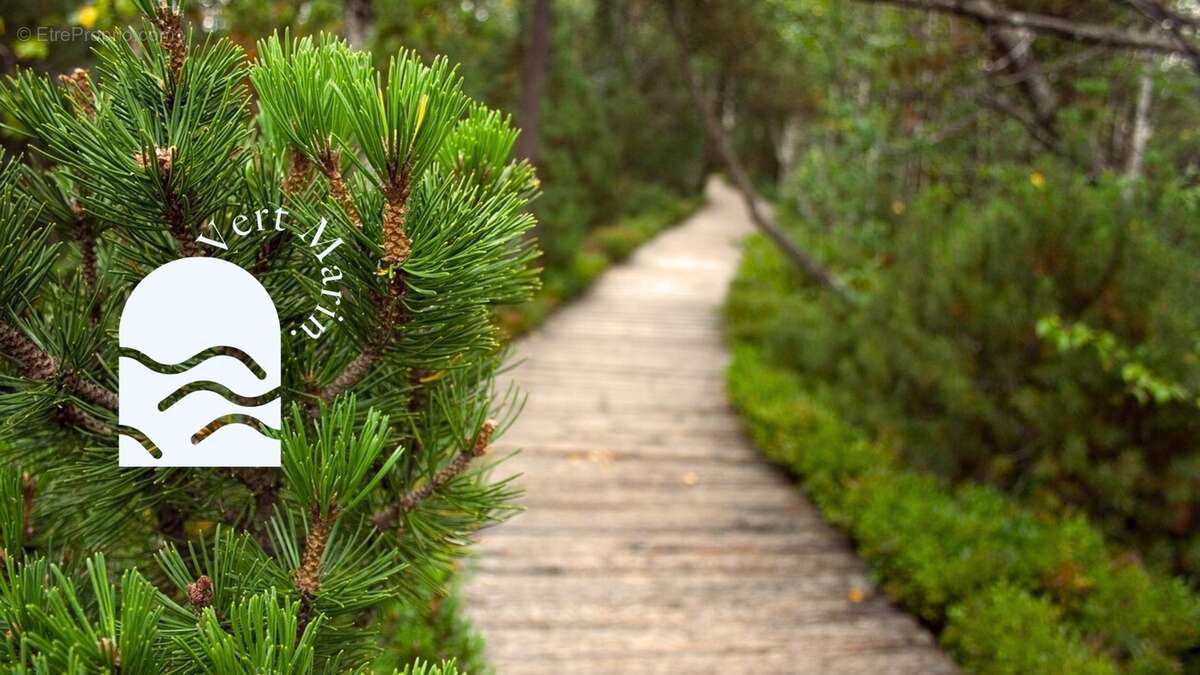 Vert marin à Moliets Et Maa