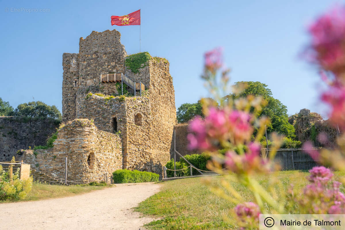 Les terrasses du payré à Talmont St Hilaire