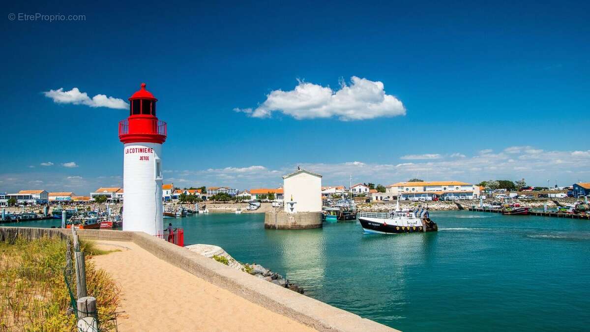 Arénaria à St Georges D Oleron