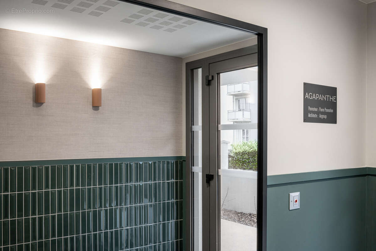 Agapanthe à St Malo