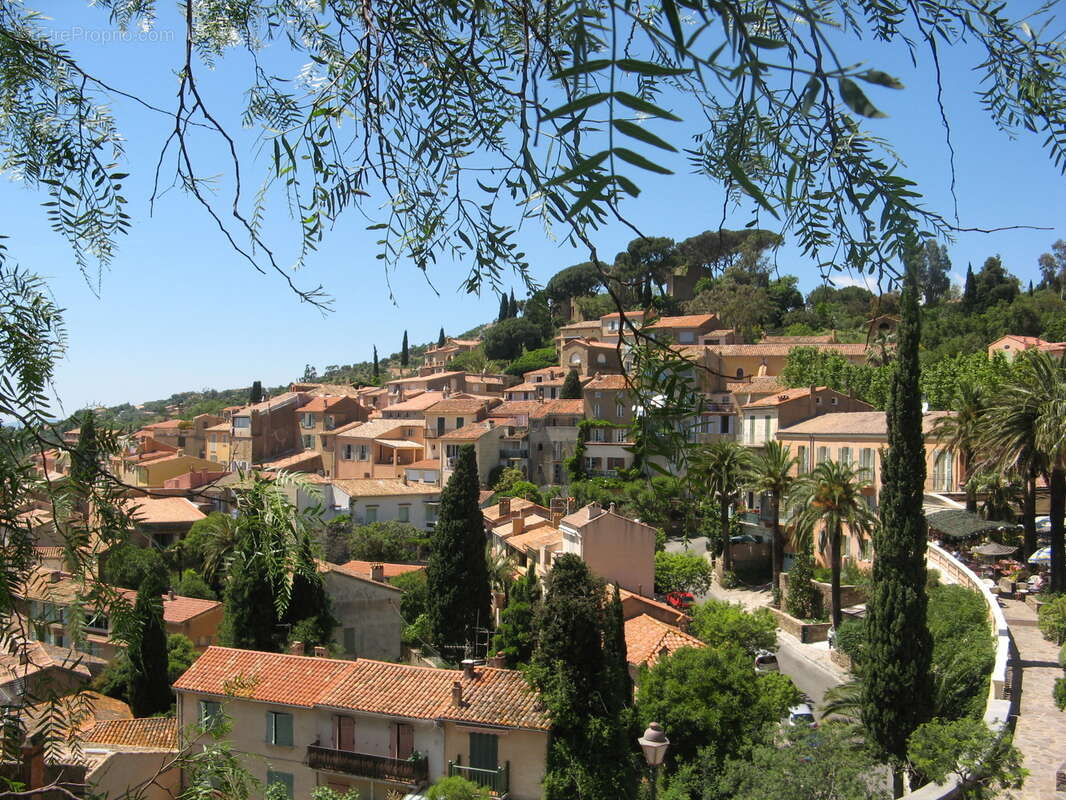 Le domaine des pins à Bormes Les Mimosas