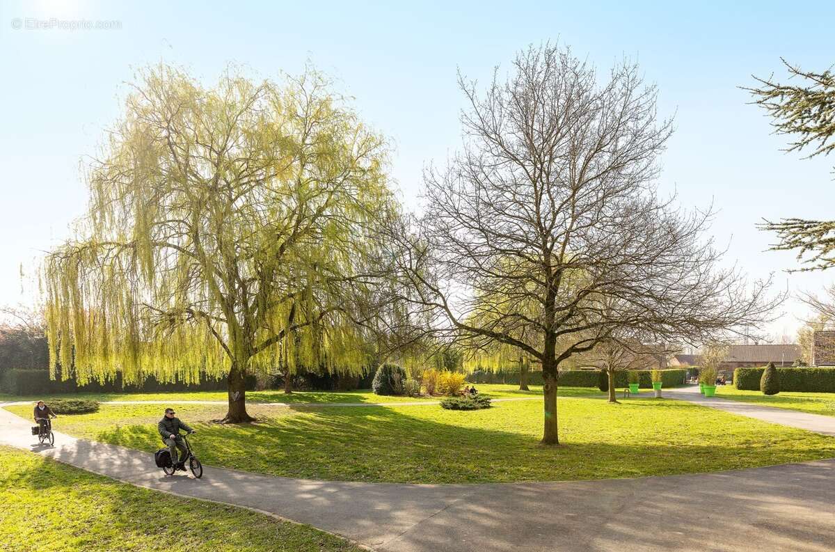 Florescence à Orchies