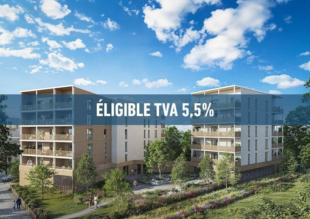 Bois lizé à Angers