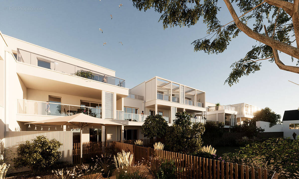 La marjolaine à La Turballe