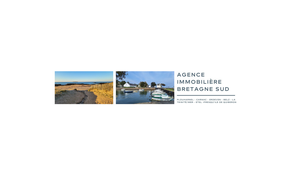 AGENCE DE L'OCEAN  bannière