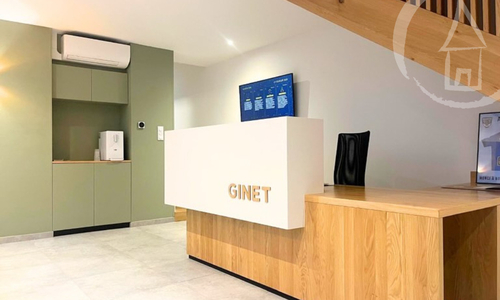GINET IMMOBILIER bannière