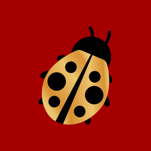 Agence Coccinelle 66
