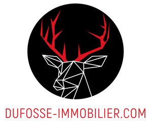 Dufossé Immobilier	