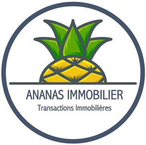 Ananas Immobilier