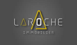 Laroche Immobilier