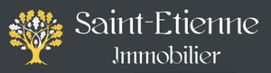 Saint Etienne Immobilier
