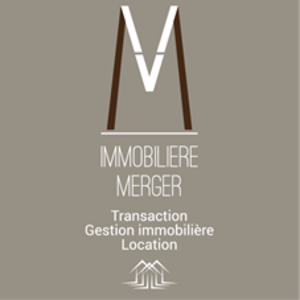 Immobilière Merger