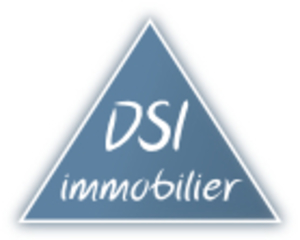 DIRECT SERVICE IMMOBILIER