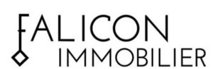 Falicon Immobilier