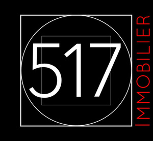 517 Immobilier