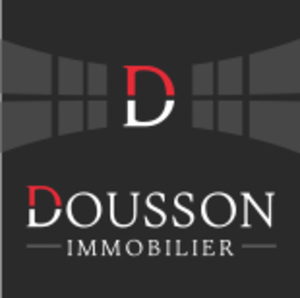 DUSSON IMMOBILIER