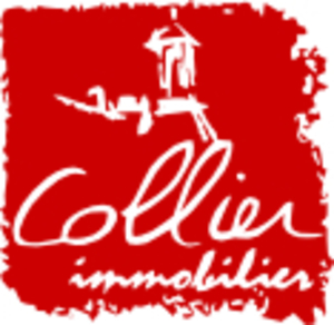 REGIE COLLIER IMMOBILIER AUTUN