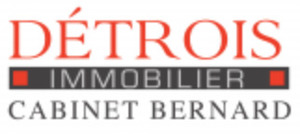 DETROIS IMMOBILIER