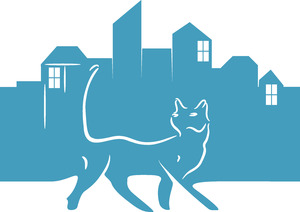 Le Chat Immo