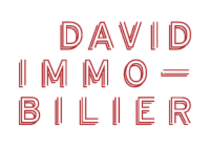 DAVID IMMO MONTMARTRE-ABBESSES