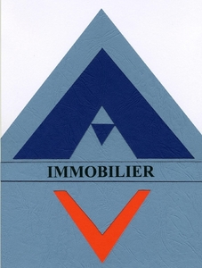 AV Immobilier