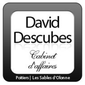 DAVID-DESCUBES
