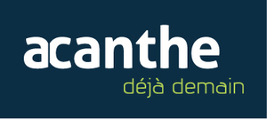 Acanthe Terrain
