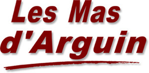 LES MAS D'ARGUIN Gujan-Mestras
