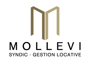 Cabinet Mollevi