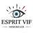 Esprit Vif Immobilier