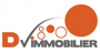 DV Immobilier