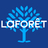 Laforêt BLAGNAC
