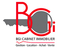 BGI