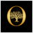 OLLIVIER IMMOBILIER