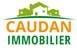 Logo de l'agence Caudan Immobilier