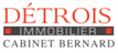 DETROIS IMMOBILIER